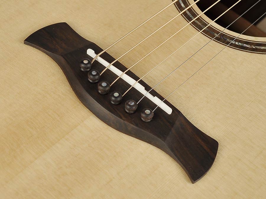 Guit. acú. CE Richwood Songwriter R ARTESANA