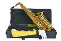 SAXO ALTO AMADEUS EN Mib