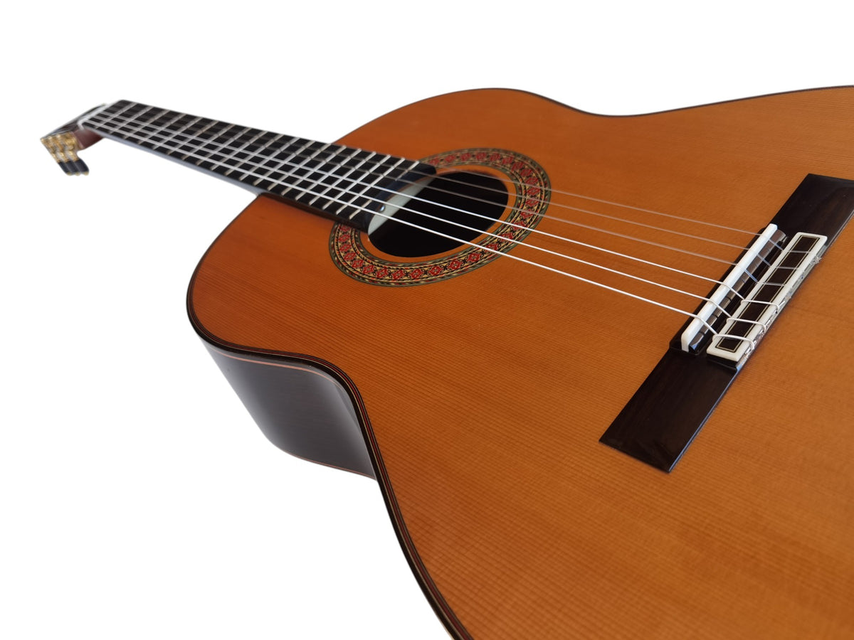 Antonio De Toledo AT-270C – Guitarra Clasica Toda Maciza de Palosanto y Tapa Maciza de Cedro