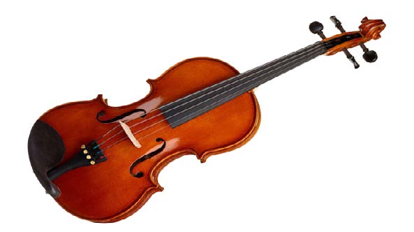 VIOLA HÖFNER 14" AS-190
