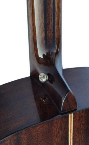 AV-5 Egmond – Guitarra Acústica Toda Maciza con Doble Refuerzo en el Mástil