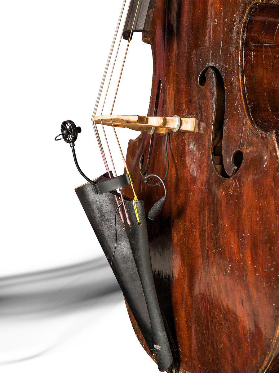MICRÓFONO PARA CONTRABAJO PRODIPE BL21