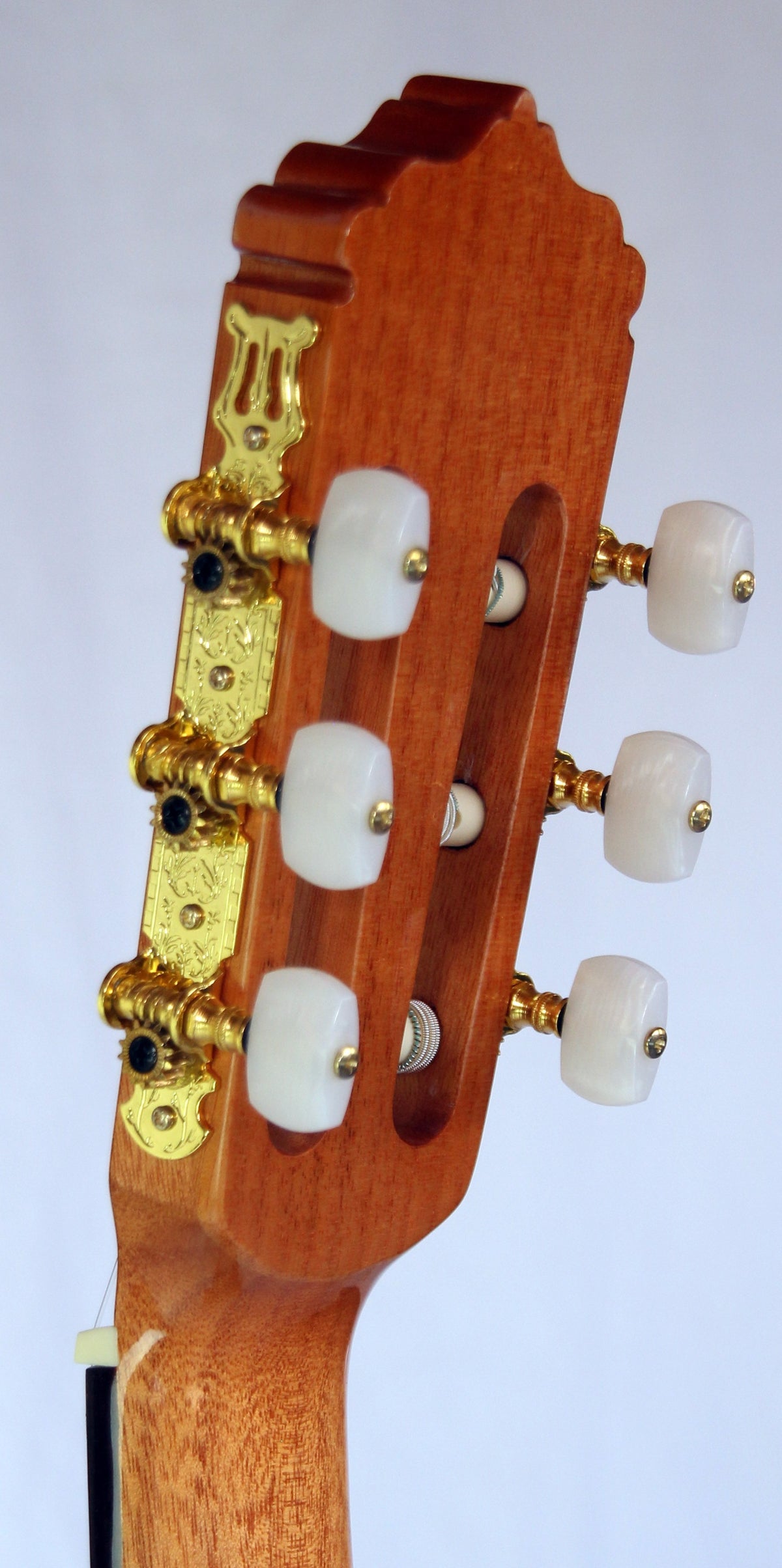 C320.203-3/4 Guitarra Clasica Vicente Tatay - Fondo de Sapeli con Tapa de Abeto - Acabado Brillo - Tamaño Cadete 3/4 tiro 580