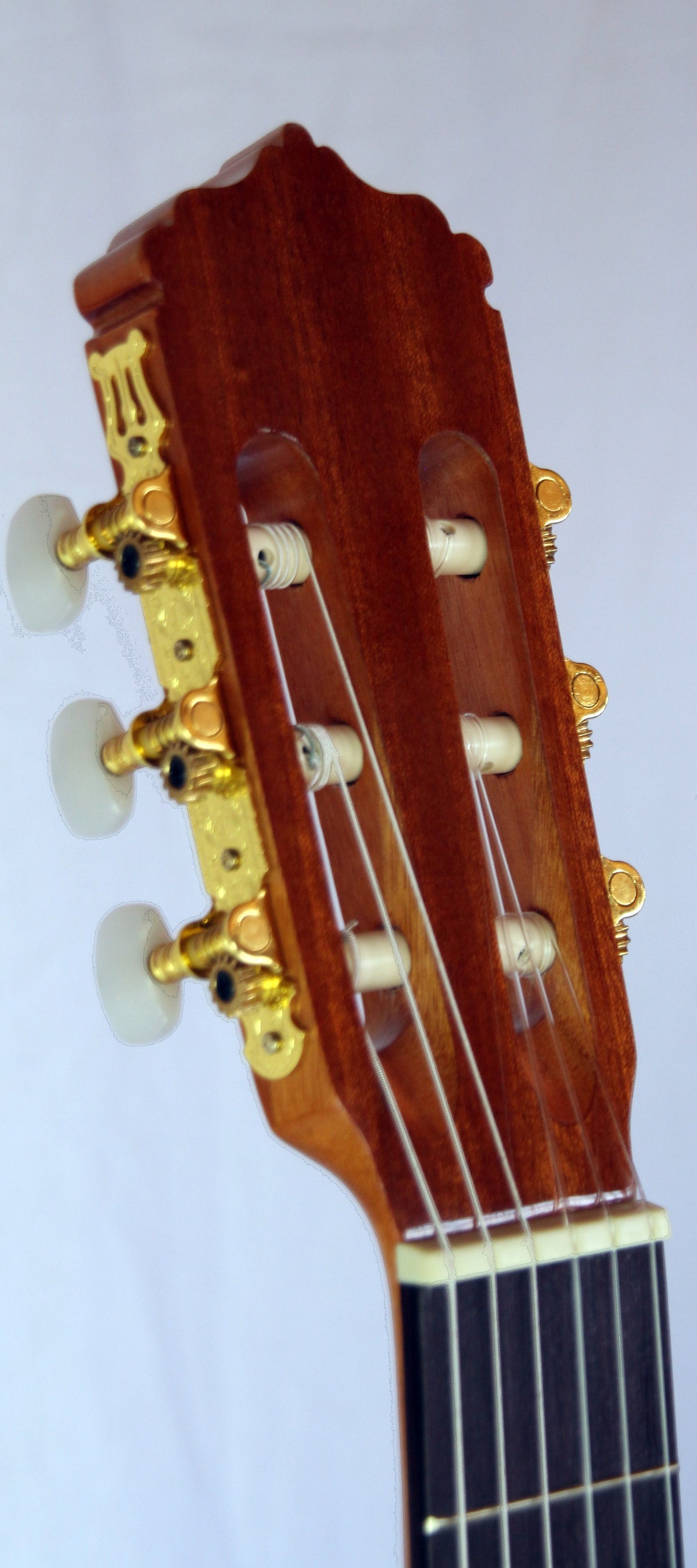 C320.203-3/4 Guitarra Clasica Vicente Tatay - Fondo de Sapeli con Tapa de Abeto - Acabado Brillo - Tamaño Cadete 3/4 tiro 580
