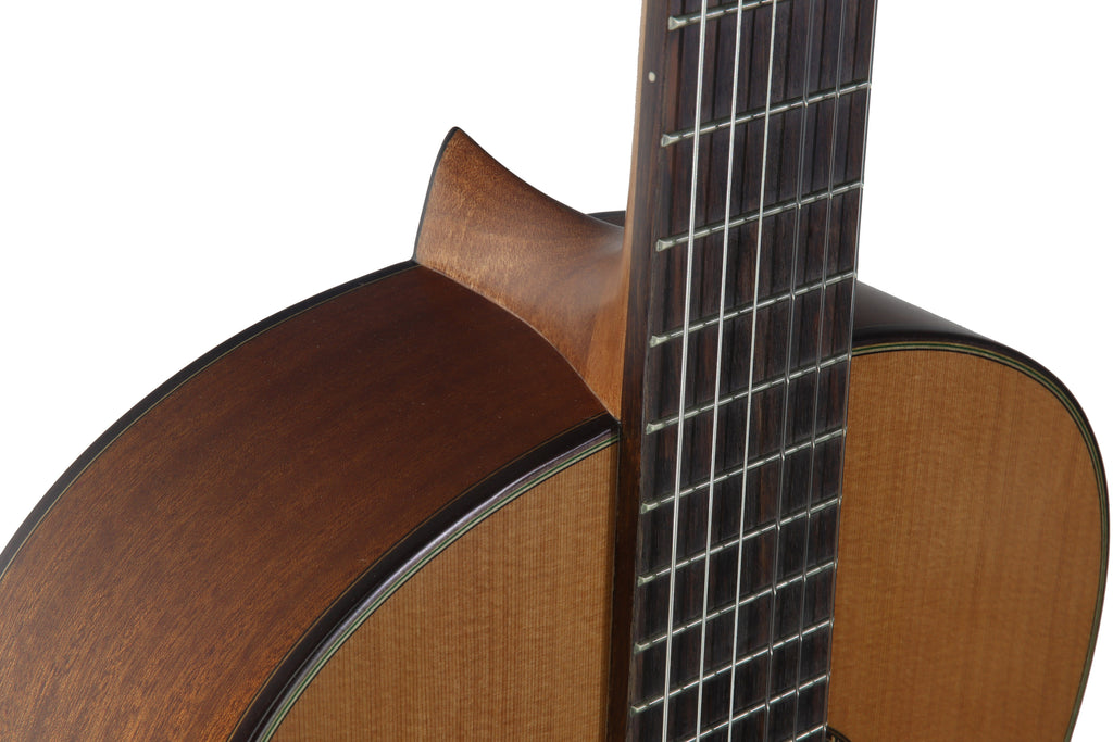 C320.205C Satin Guitarra Clasica Vicente Tatay - Fondo de Sapeli con Tapa Maciza de Cedro - Acabado Satinado