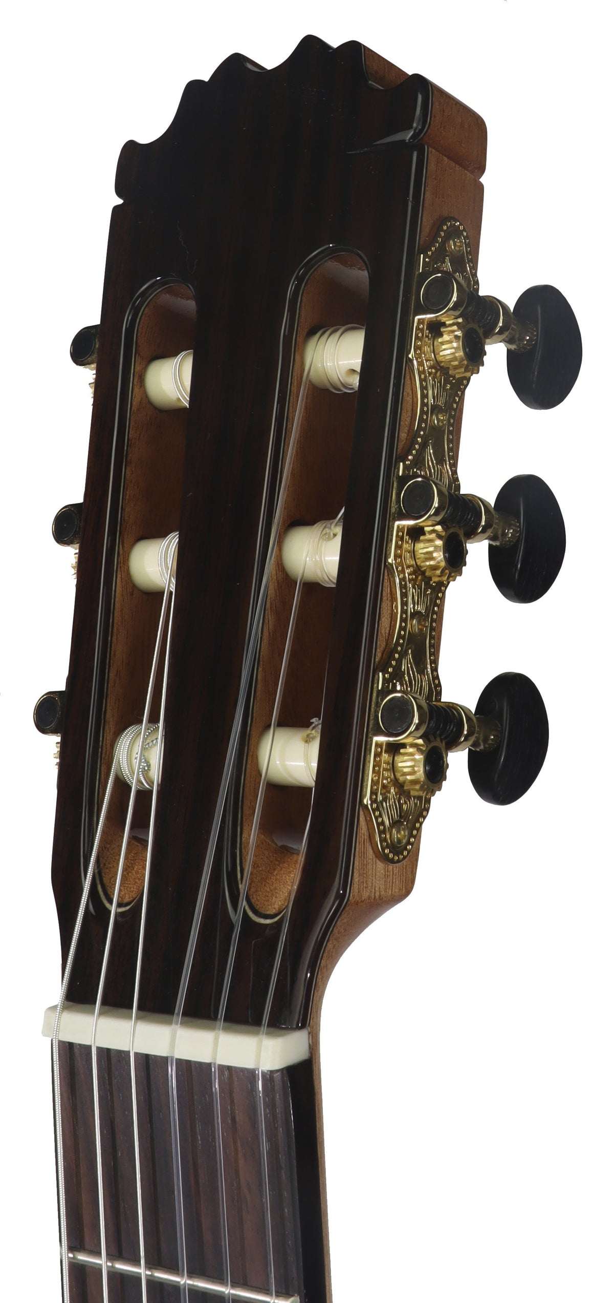 C320.306C Guitarra Clasica Vicente Tatay - Fondo de Palosanto con Tapa Maciza de Cedro - Acabado Brillo