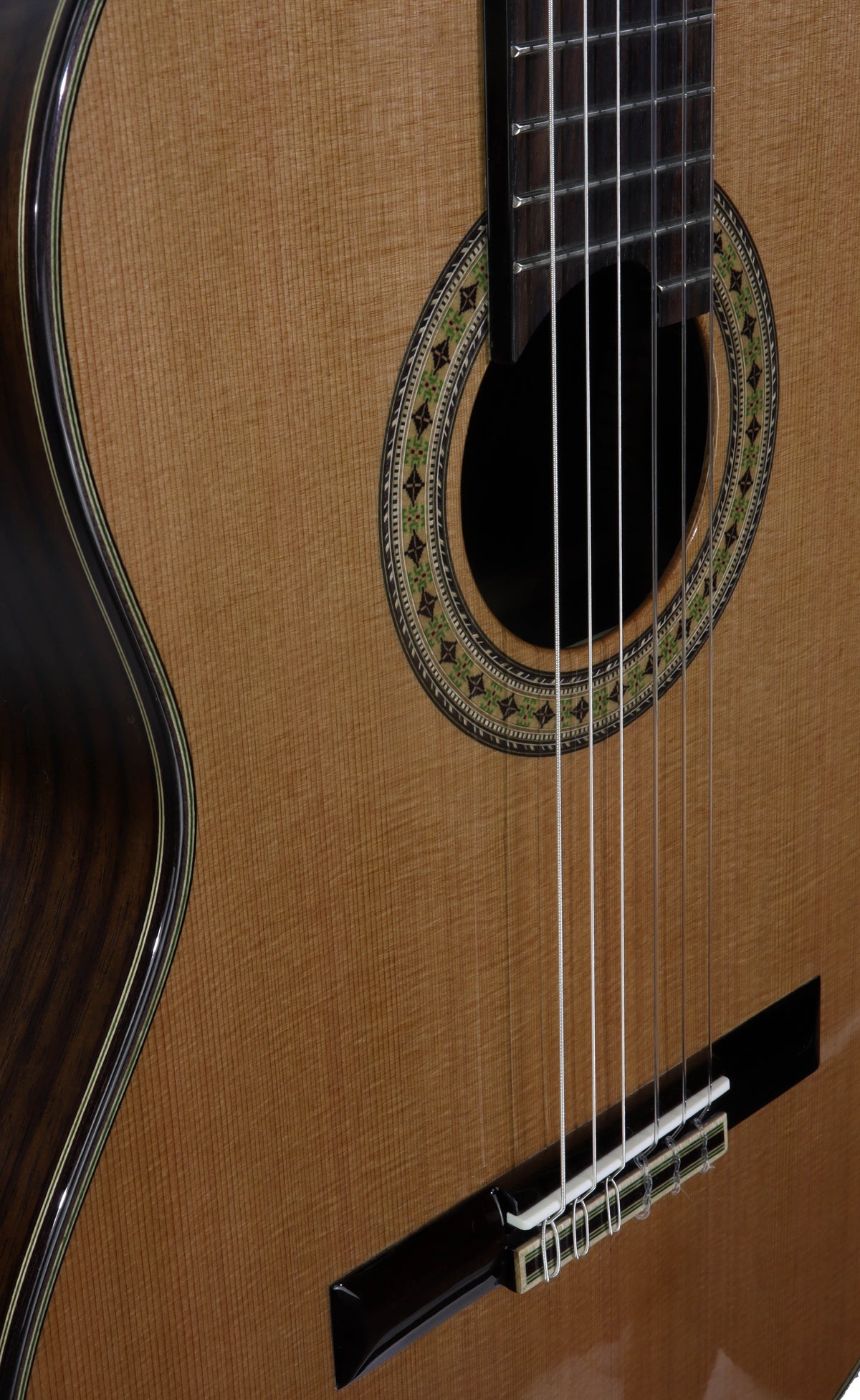 C320.306C Guitarra Clasica Vicente Tatay - Fondo de Palosanto con Tapa Maciza de Cedro - Acabado Brillo