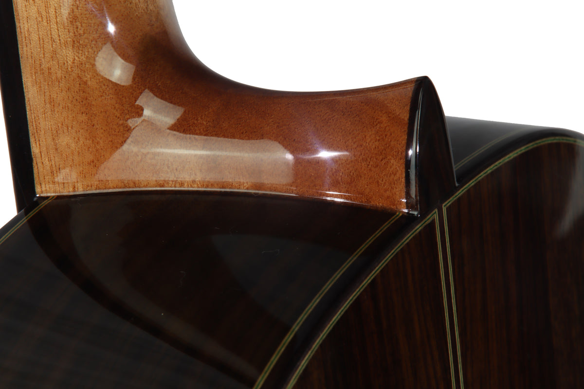 C320.306C Guitarra Clasica Vicente Tatay - Fondo de Palosanto con Tapa Maciza de Cedro - Acabado Brillo