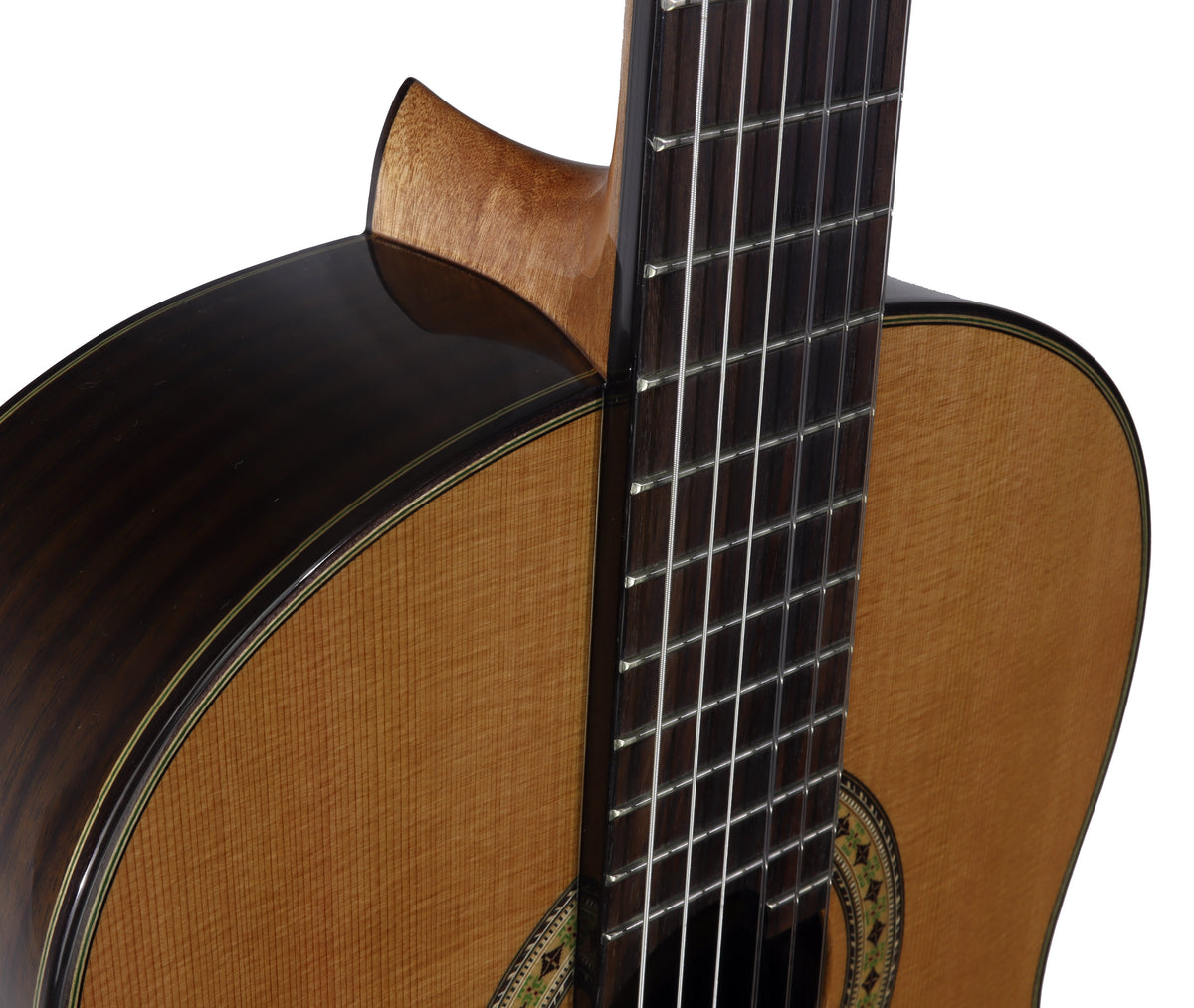 C320.306C Guitarra Clasica Vicente Tatay - Fondo de Palosanto con Tapa Maciza de Cedro - Acabado Brillo