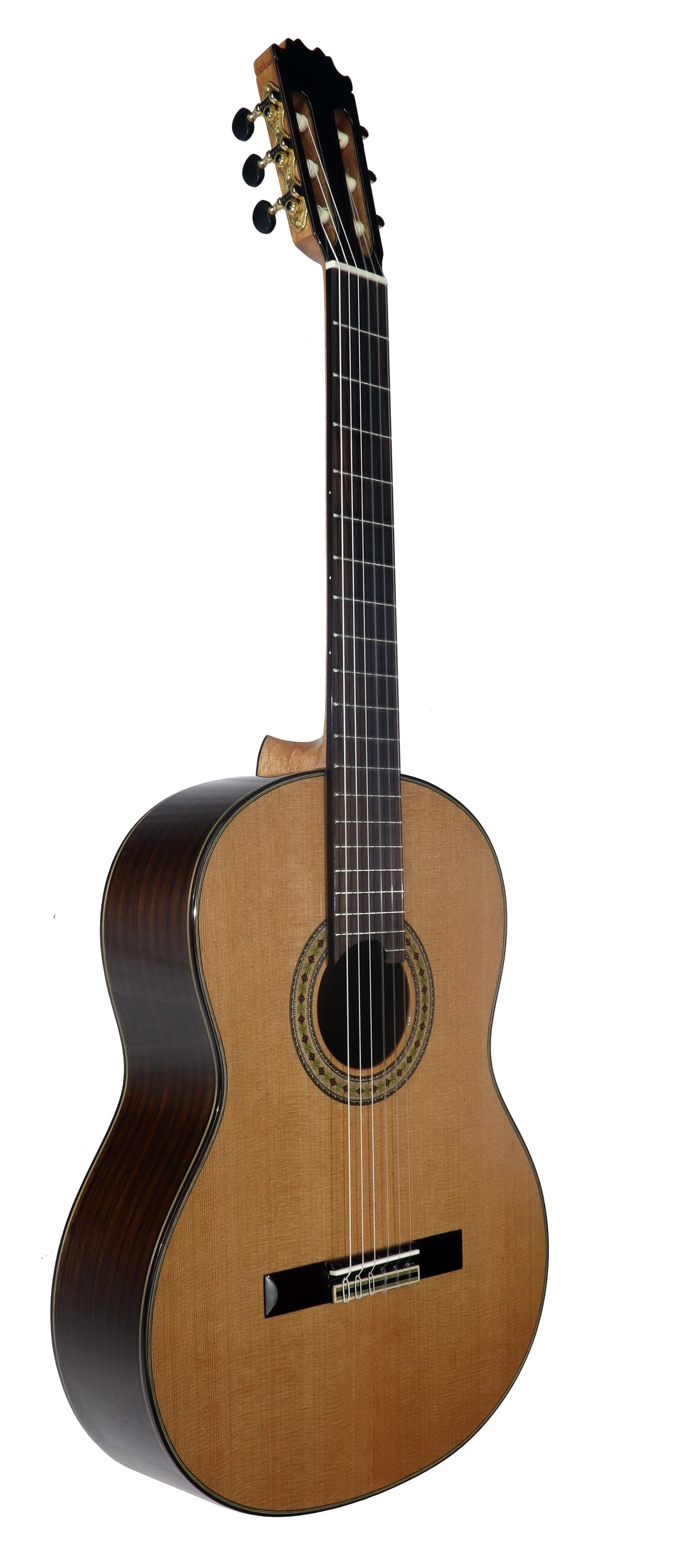 C320.306C Guitarra Clasica Vicente Tatay - Fondo de Palosanto con Tapa Maciza de Cedro - Acabado Brillo