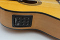 C320.580CE V Guitarra Flamenca Jose Rincon - Fondo de Sicomoro con Tapa de Abeto - Cenefa Verde - Amplificada con Cutaway