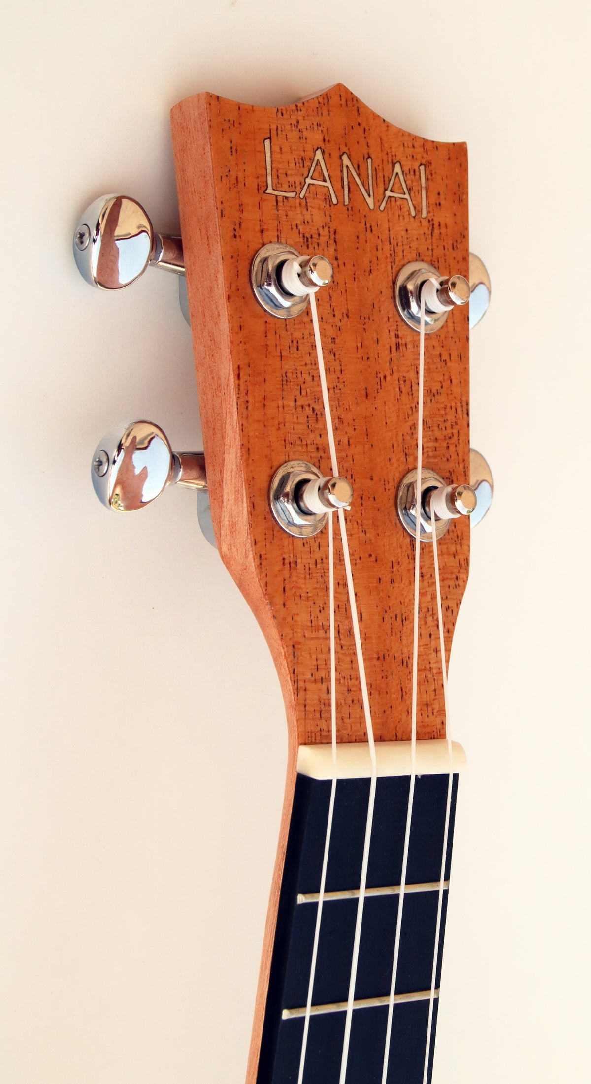 C380.100V Egmond Ukelele Concierto de sapeli con tapa maciza