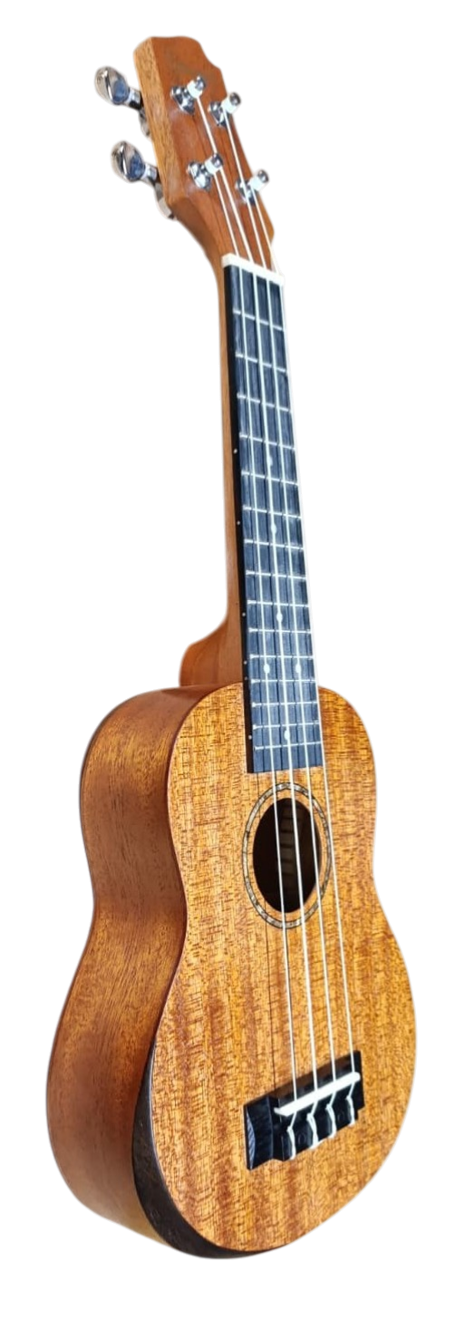 C380.101V  Egmond Ukelele Concierto de Sapeli Todo Macizo