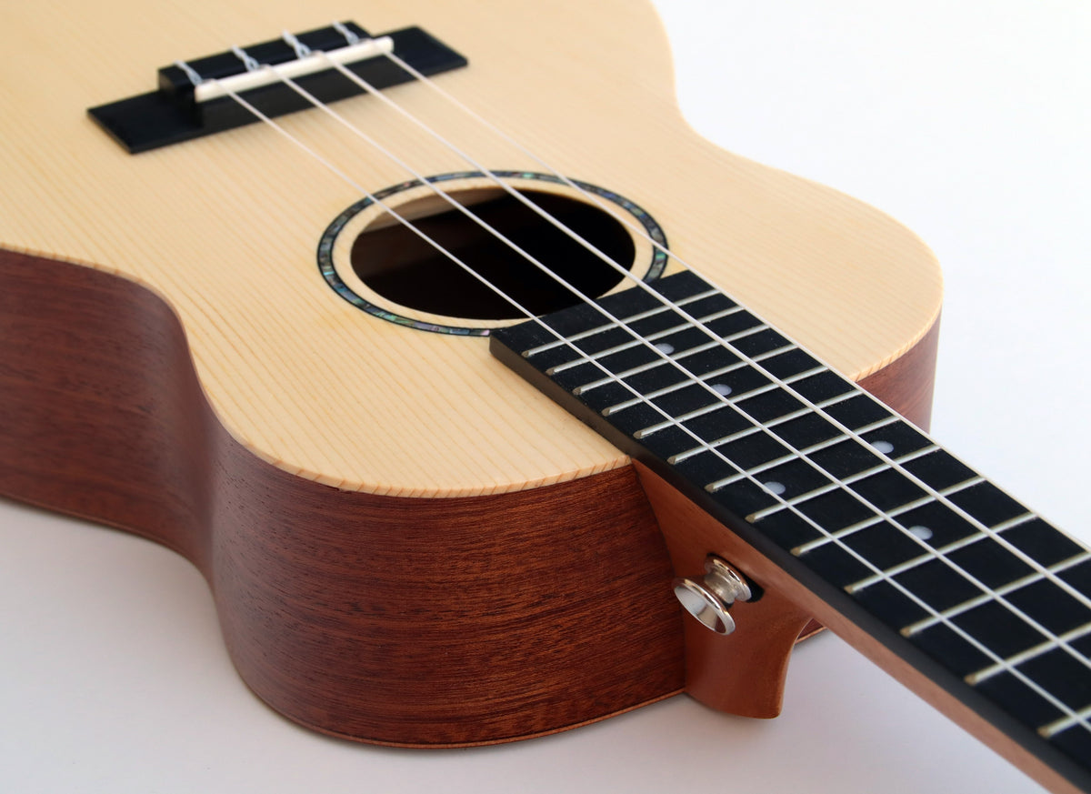 C380.100V Egmond Ukelele Concierto de sapeli con tapa maciza