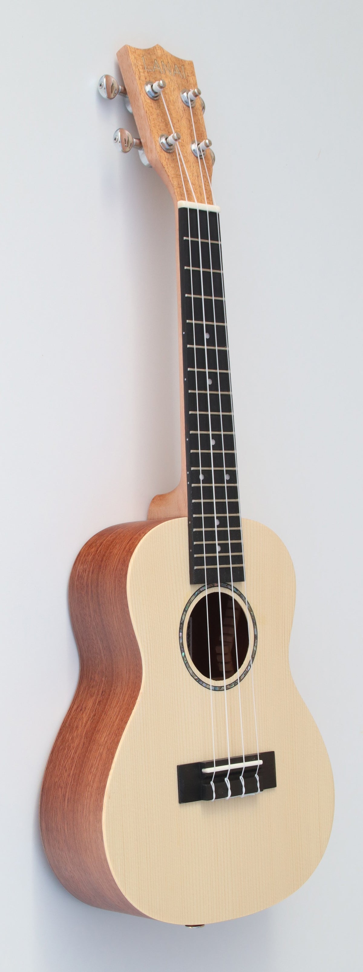 C380.100V Egmond Ukelele Concierto de sapeli con tapa maciza