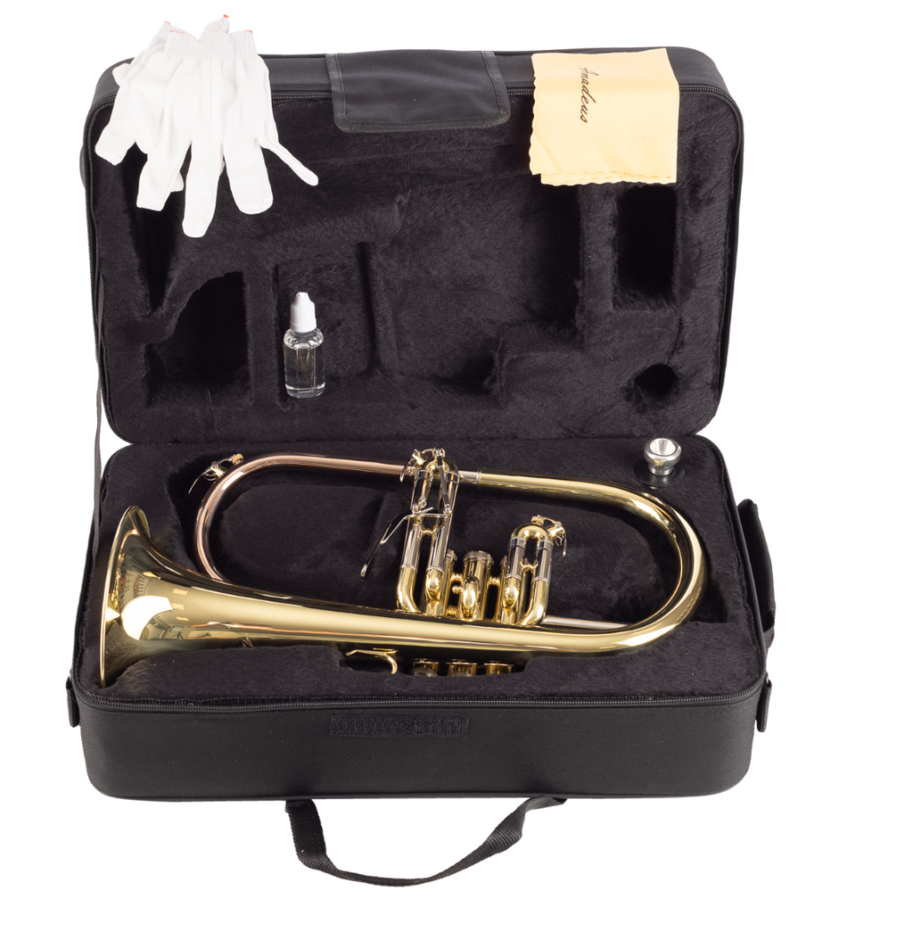 FLISCORNO AMADEUS PISTONES MONEL