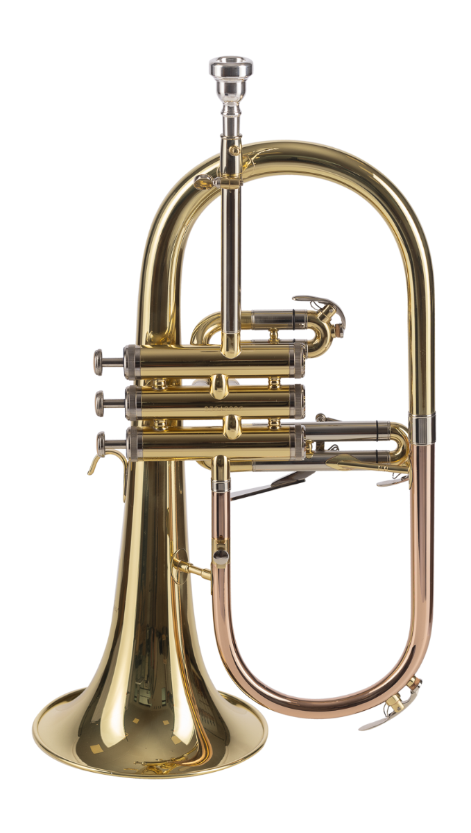 FLISCORNO AMADEUS PISTONES MONEL