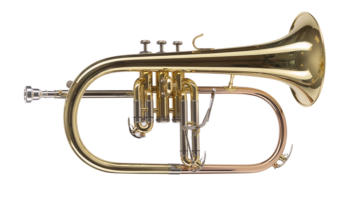 FLISCORNO AMADEUS PISTONES MONEL