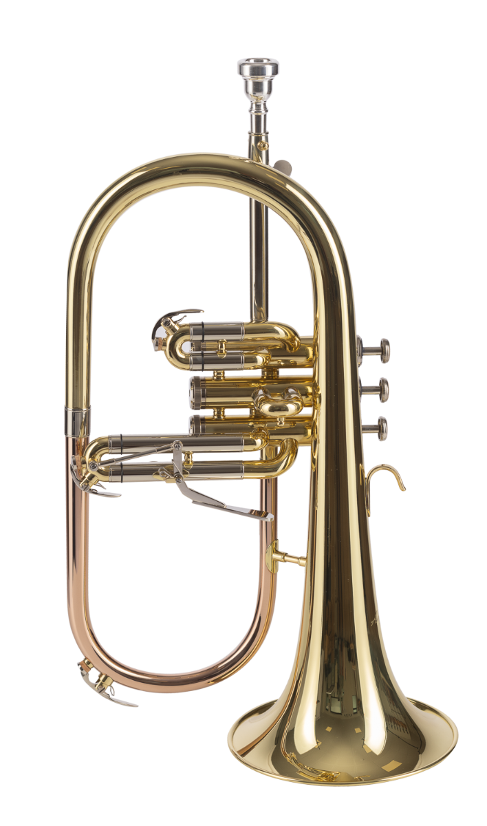 FLISCORNO AMADEUS PISTONES MONEL
