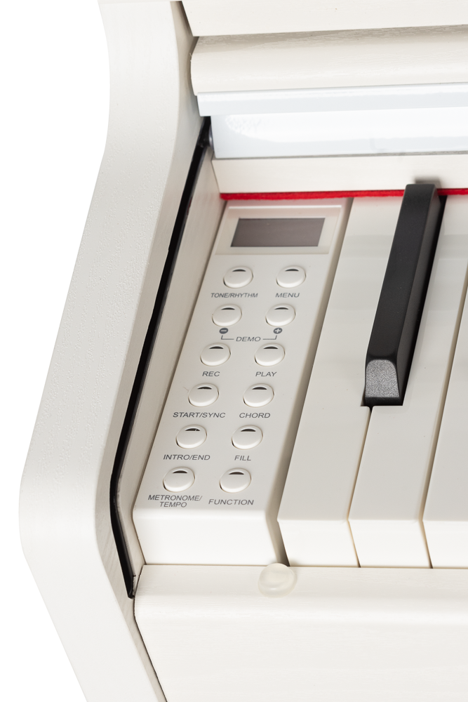 PIANO DIGITAL AMADEUS 88 TECLAS HAMMER PA20