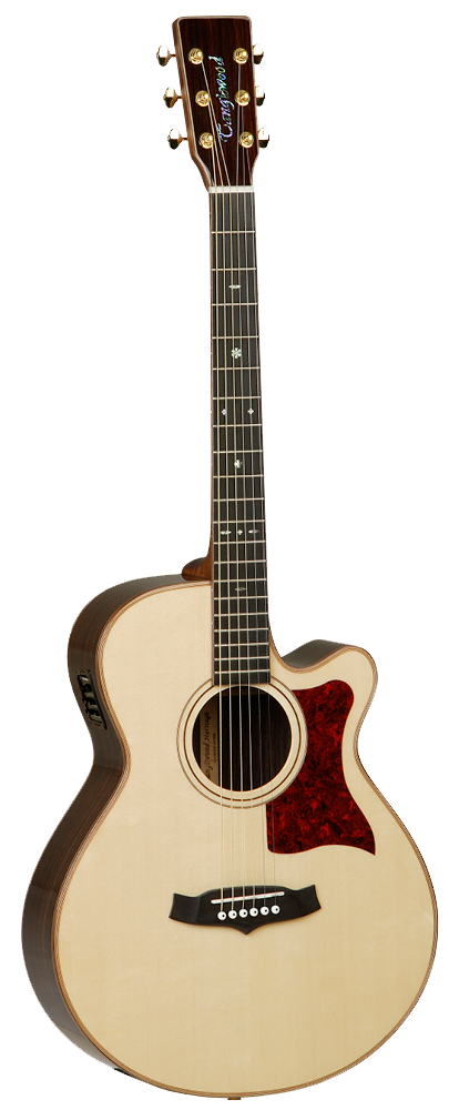 GUITARRA ACÚSTICA TANGLEWOOD SUPER FOLK CON CUTAWAY TW45HSRE 