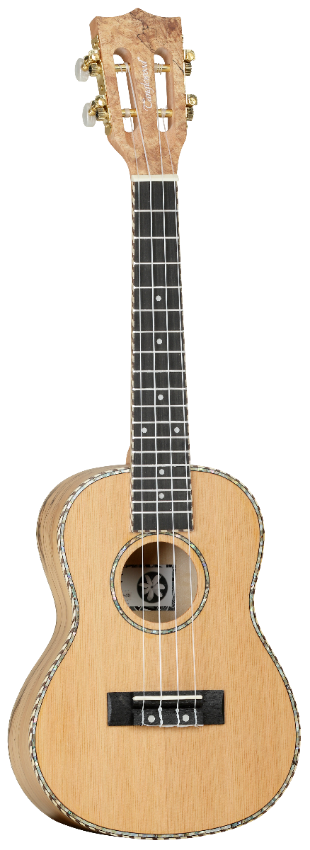 UKELELE CONCIERTO TANGLEWOOD TWT11