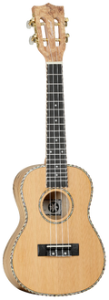 UKELELE CONCIERTO TANGLEWOOD TWT11