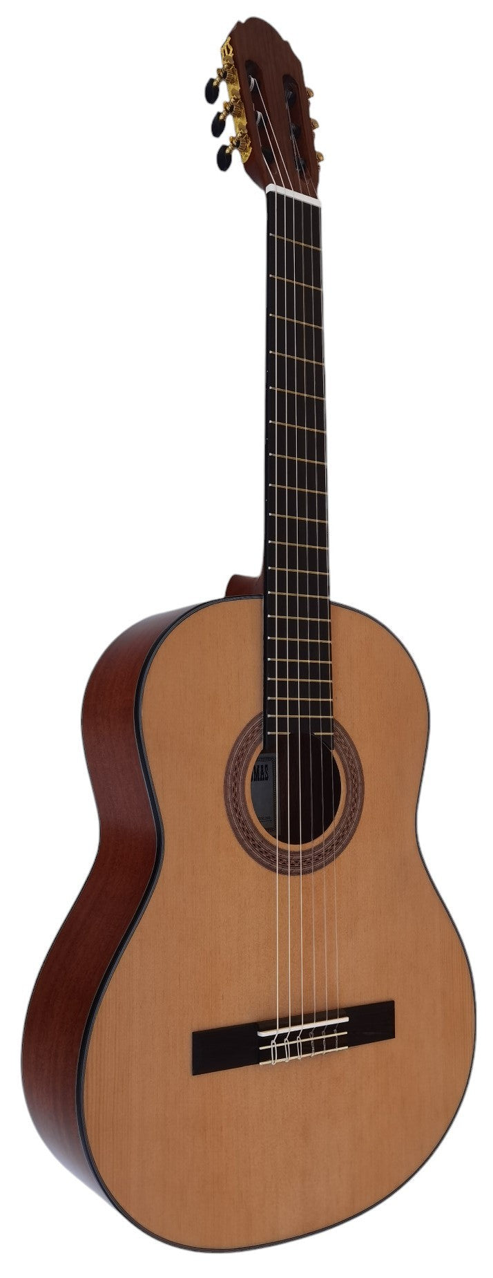 Vicente Tatay C320.302C Guitarra Clasica - Fondo de Sapeli con Tapa de Abeto - Acabado Brillo