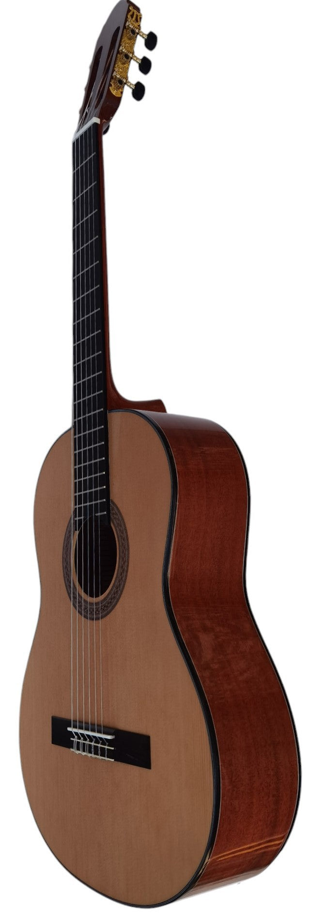 Vicente Tatay C320.302C Guitarra Clasica - Fondo de Sapeli con Tapa de Abeto - Acabado Brillo