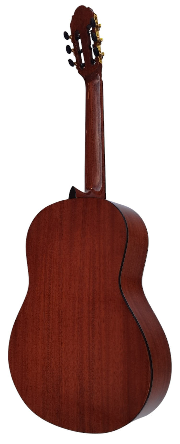 Vicente Tatay C320.302C Guitarra Clasica - Fondo de Sapeli con Tapa de Abeto - Acabado Brillo
